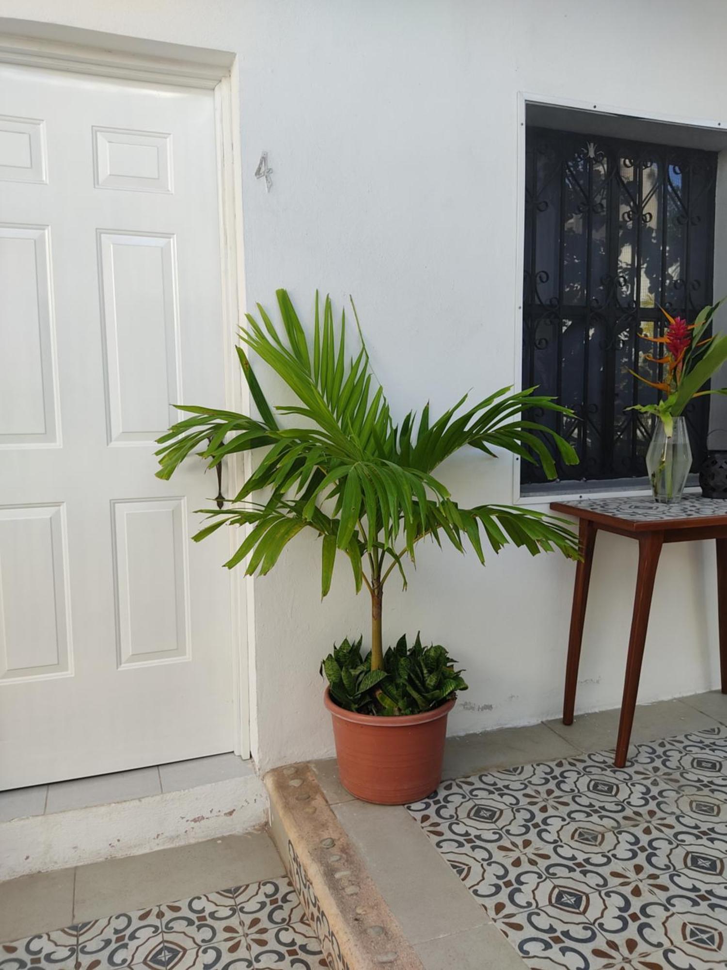 Casa Mercedes Valladolid  Habitación foto